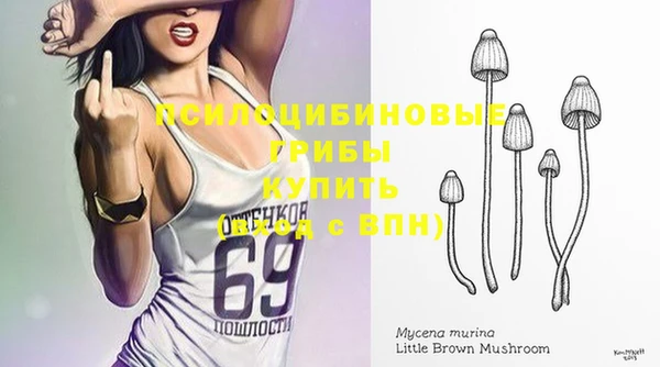 Альфа ПВП Богородск