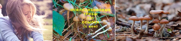 Альфа ПВП Богородск