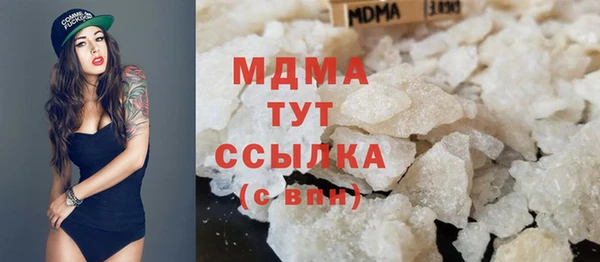 дмт Богданович