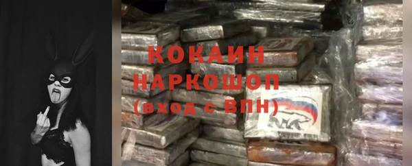 дмт Богданович
