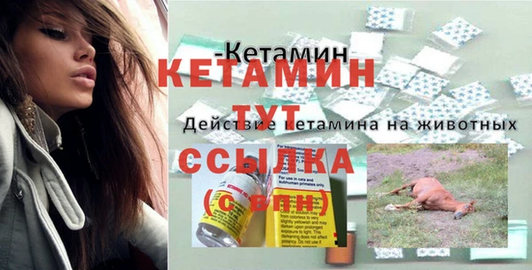 шишки Белокуриха