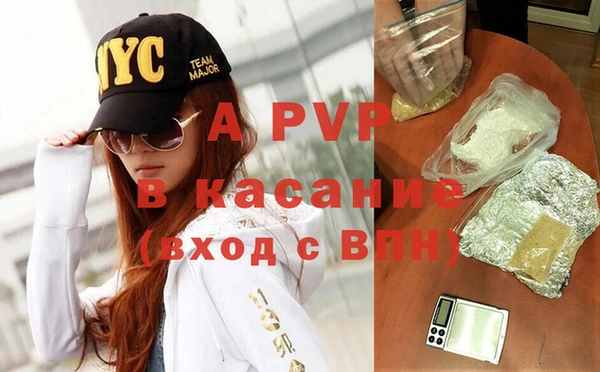 дмт Богданович