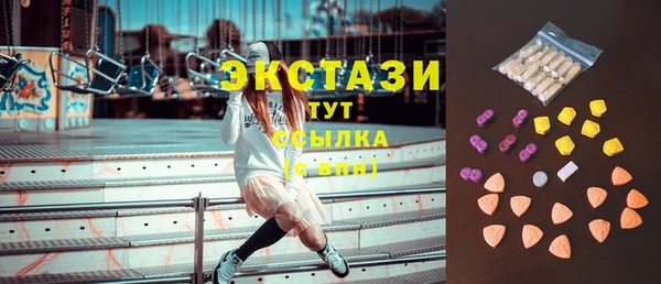 дмт Богданович