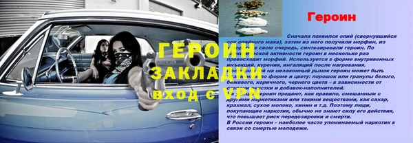 шишки Белокуриха
