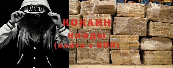 дмт Богданович