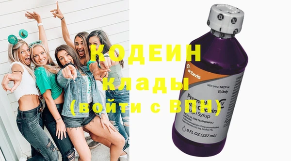 дмт Богданович